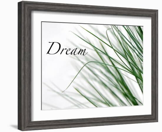 Dream: Reeds-Nicole Katano-Framed Photo