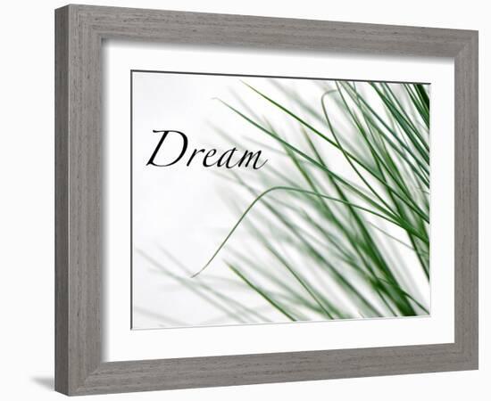 Dream: Reeds-Nicole Katano-Framed Photo