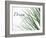 Dream: Reeds-Nicole Katano-Framed Photo