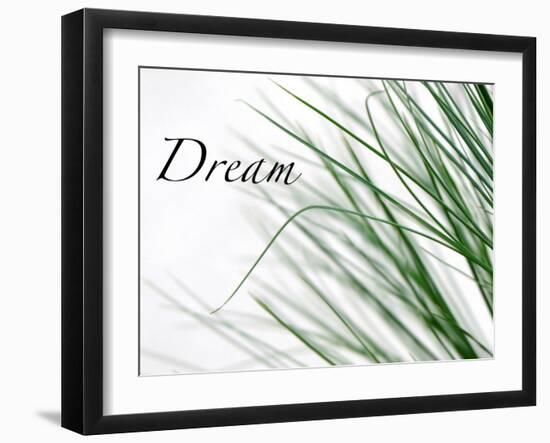 Dream: Reeds-Nicole Katano-Framed Photo