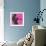 Dream Session: The All-Stars Play Miles Davis Classics (Pink Color Variation)-null-Framed Art Print displayed on a wall