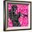 Dream Session: The All-Stars Play Miles Davis Classics (Pink Color Variation)-null-Framed Art Print