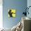 Dream Session: The All-Stars Play Miles Davis Classics (Yellow Color Variation)-null-Mounted Art Print displayed on a wall