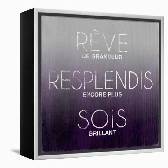 Dream, Sparkle, Shine (French)-Sd Graphics Studio-Framed Stretched Canvas