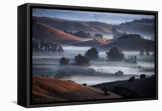 Dream State, Fog and Morning Light, Petaluma Hills, Sonoma County, Califormia-Vincent James-Framed Premier Image Canvas
