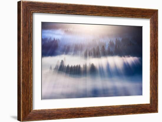 Dream-Marcin Sobas-Framed Photographic Print