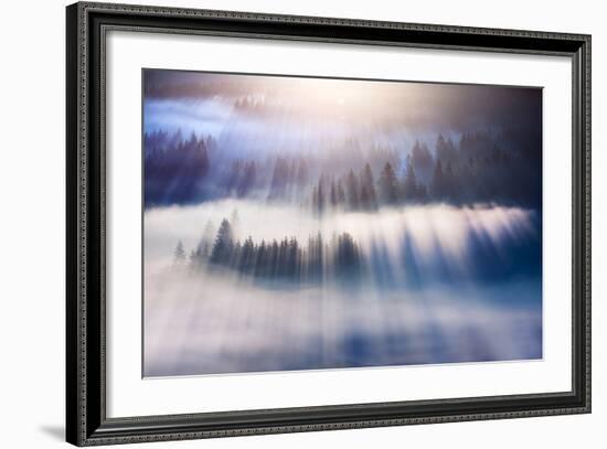 Dream-Marcin Sobas-Framed Photographic Print