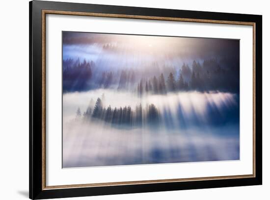 Dream-Marcin Sobas-Framed Photographic Print