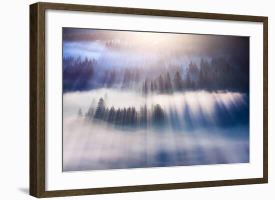 Dream-Marcin Sobas-Framed Photographic Print