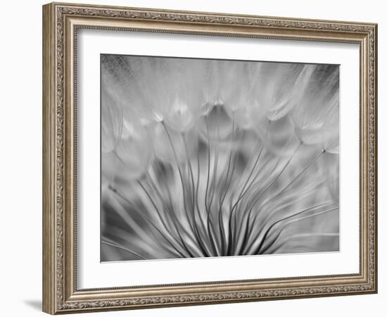 Dream-keren or-Framed Photographic Print