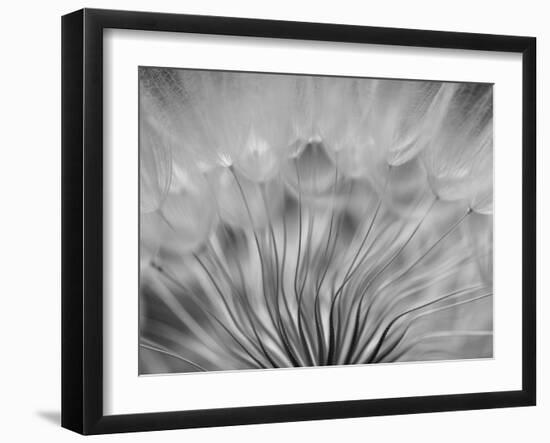 Dream-keren or-Framed Photographic Print