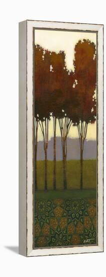 Dreamer's Grove II-Norman Wyatt Jr.-Framed Stretched Canvas