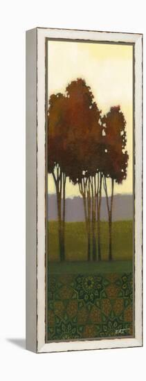 Dreamer's Grove III-Norman Wyatt Jr.-Framed Stretched Canvas