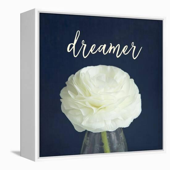 Dreamer-Susannah Tucker-Framed Stretched Canvas