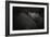 Dreamin-Zdenek Vales-Framed Giclee Print