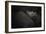 Dreamin-Zdenek Vales-Framed Giclee Print