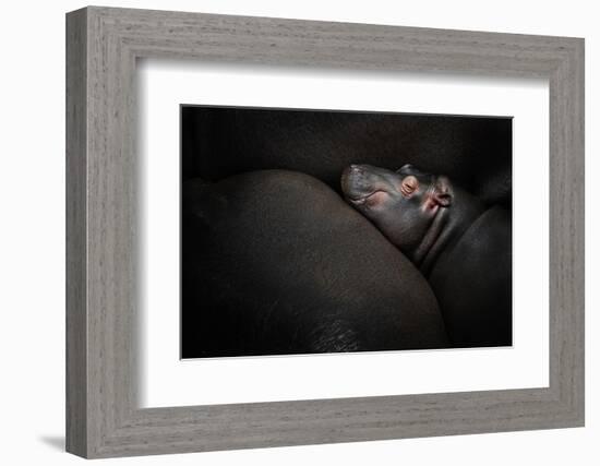 Dreamin'-Zdenek Vales-Framed Photographic Print