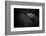 Dreamin'-Zdenek Vales-Framed Photographic Print