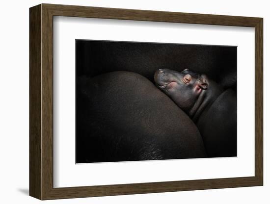 Dreamin'-Zdenek Vales-Framed Photographic Print