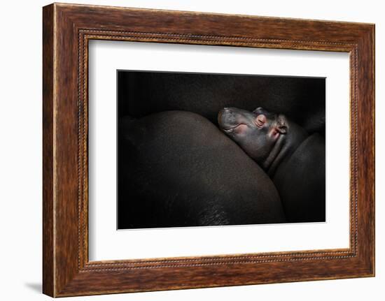 Dreamin'-Zdenek Vales-Framed Photographic Print