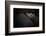 Dreamin'-Zdenek Vales-Framed Photographic Print