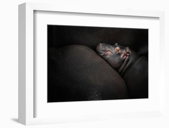 Dreamin'-Zdenek Vales-Framed Photographic Print