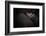 Dreamin'-Zdenek Vales-Framed Photographic Print