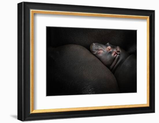 Dreamin'-Zdenek Vales-Framed Photographic Print