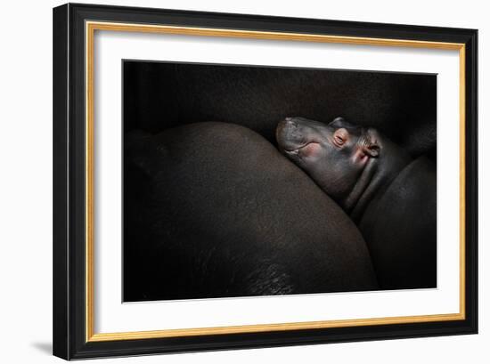 Dreamin'-Zdenek Vales-Framed Photographic Print