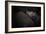 Dreamin'-Zdenek Vales-Framed Photographic Print