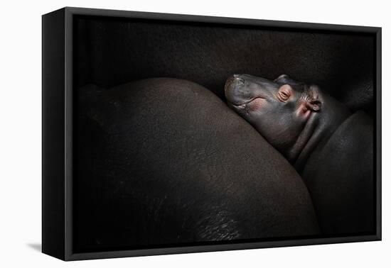 Dreamin'-Zdenek Vales-Framed Premier Image Canvas