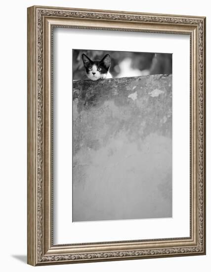 Dreamin’-Jon Bertelli-Framed Photographic Print