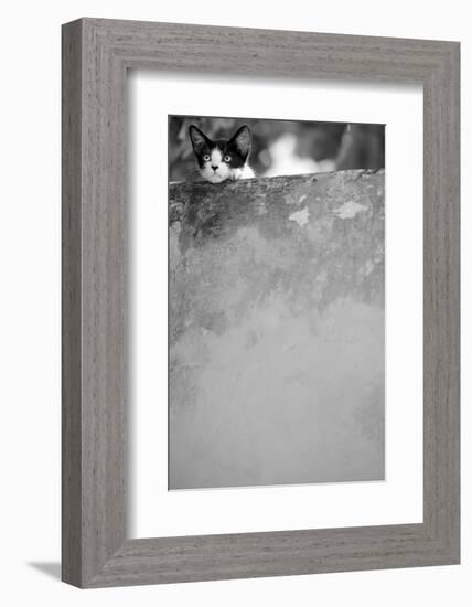 Dreamin’-Jon Bertelli-Framed Photographic Print