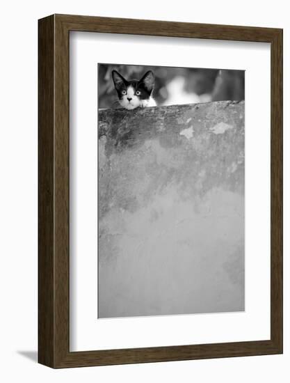 Dreamin’-Jon Bertelli-Framed Photographic Print