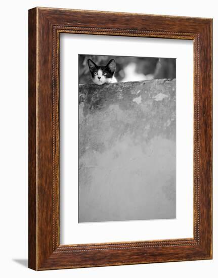 Dreamin’-Jon Bertelli-Framed Photographic Print