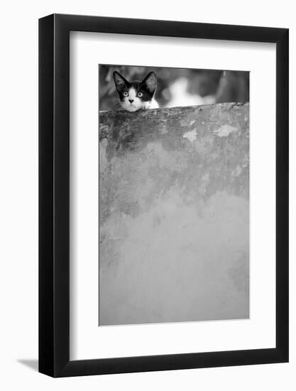 Dreamin’-Jon Bertelli-Framed Photographic Print