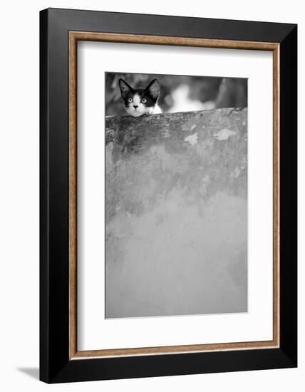 Dreamin’-Jon Bertelli-Framed Photographic Print