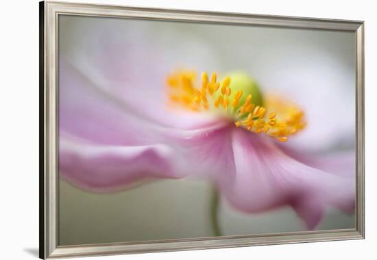 Dreaminess-null-Framed Art Print