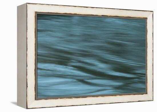 Dreaminess-Anthony Paladino-Framed Premier Image Canvas