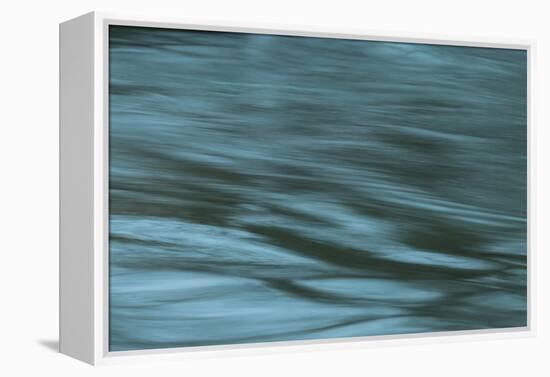 Dreaminess-Anthony Paladino-Framed Premier Image Canvas