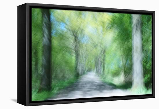 Dreaming an Unending Spring-Jacob Berghoef-Framed Premier Image Canvas