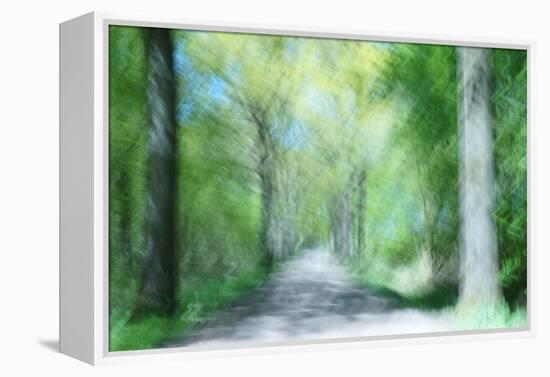 Dreaming an Unending Spring-Jacob Berghoef-Framed Premier Image Canvas