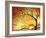 Dreaming in Gold-Megan Aroon Duncanson-Framed Art Print