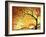 Dreaming in Gold-Megan Aroon Duncanson-Framed Premium Giclee Print