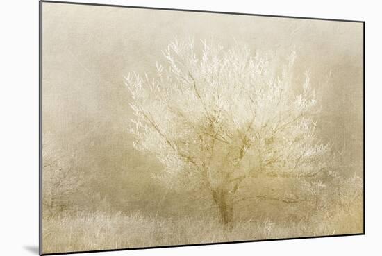 Dreaming Tree-Kimberly Allen-Mounted Art Print