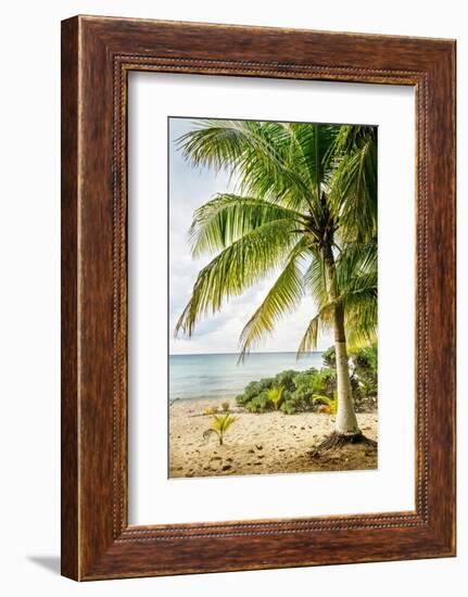 Dreaming-Mary Lou Johnson-Framed Photo