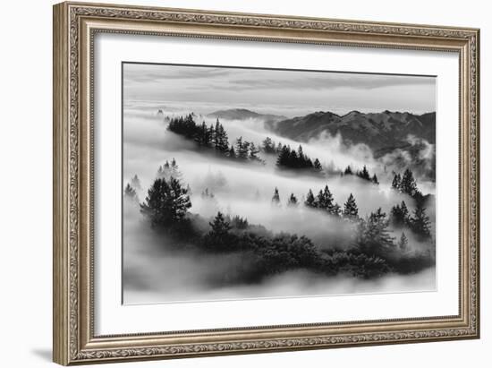 Dreamland, Black and White, Fog at Mount Tamalpais, Marin, Bay Area San Francisco-Vincent James-Framed Photographic Print