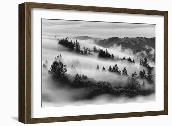 Dreamland, Black and White, Fog at Mount Tamalpais, Marin, Bay Area San Francisco-Vincent James-Framed Photographic Print