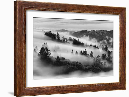 Dreamland, Black and White, Fog at Mount Tamalpais, Marin, Bay Area San Francisco-Vincent James-Framed Photographic Print