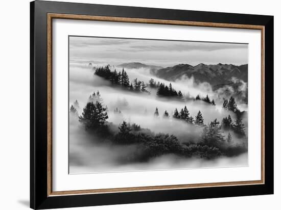 Dreamland, Black and White, Fog at Mount Tamalpais, Marin, Bay Area San Francisco-Vincent James-Framed Photographic Print